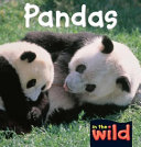 Pandas cover