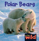 Polar Bears cover
