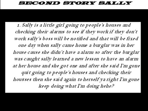Second Story Sally cover