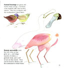 Samantha Seagull's Sandals cover