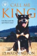 Call Me King cover