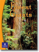 Forest Giants cover