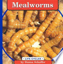 Mealworms cover