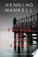 A Bridge to the Stars cover
