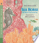 Seahorse: The Shyest Fish in the Sea cover
