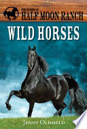 Wild Horses cover
