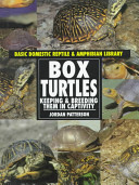 Box Turtles cover