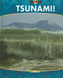 Tsunami! cover