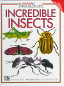 Incredible Insects cover