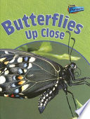 Butterflies up Close cover