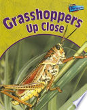 Grasshoppers up Close cover