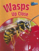 Wasps up Close cover