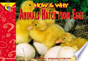 Animals Hatch from Eggs cover