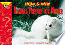 Animals Prepare for Winter cover