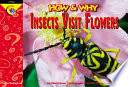 Insects Visit Flowers cover