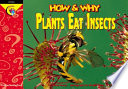 Plants Eat Insects cover