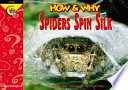 Spiders Spin Silk cover