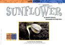 Sunflower cover