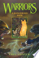 A Dangerous Path cover