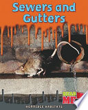 Sewers and Gutters cover