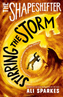 Stirring the Storm cover