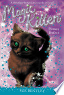 Picture Perfect cover