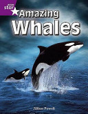 Amazing Whales cover