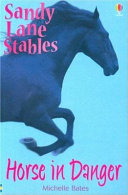 Horse in Danger cover