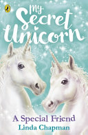 A Special Friend cover