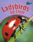 Ladybirds up Close cover