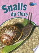 Snails up Close cover