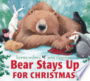 Bear Stays Up cover