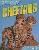 Cheetahs (QEB) cover