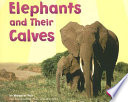 Elephants and Their Calves cover