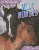 Wild Horses cover