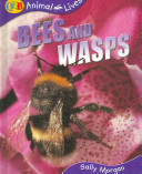 Bees and Wasps cover