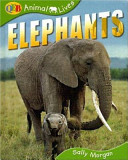 Elephants (QEB) cover