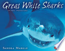 Great White Sharks cover