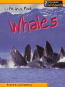 Life in a Pod: Whales cover