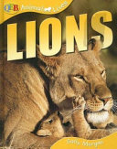 Lions cover