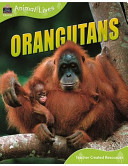 Orang-utans cover