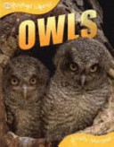 Owls cover