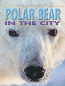 Polar Bear in the City cover