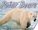 Polar Bears cover