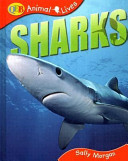 Sharks cover