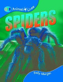 Spiders (QEB) cover