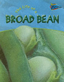 The Life of a Broad Bean cover
