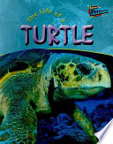The Life of a Turtle cover
