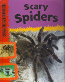 Scary Spiders cover