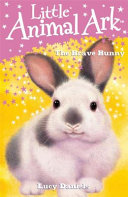 The Brave Bunny cover